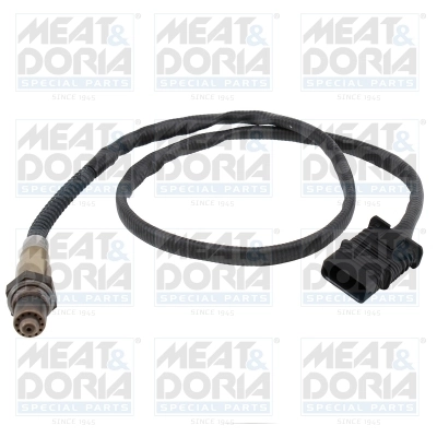 Oxygen Sensor